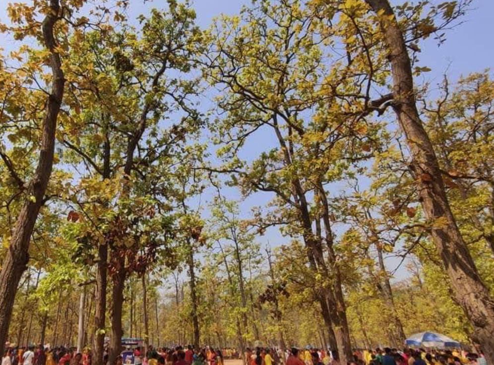 Sonajhuri Haat 3 rd  image